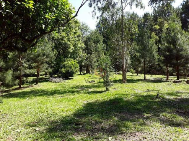 Fazenda venda em Região Geográfica Imediata de Caxias do Sul, Canela