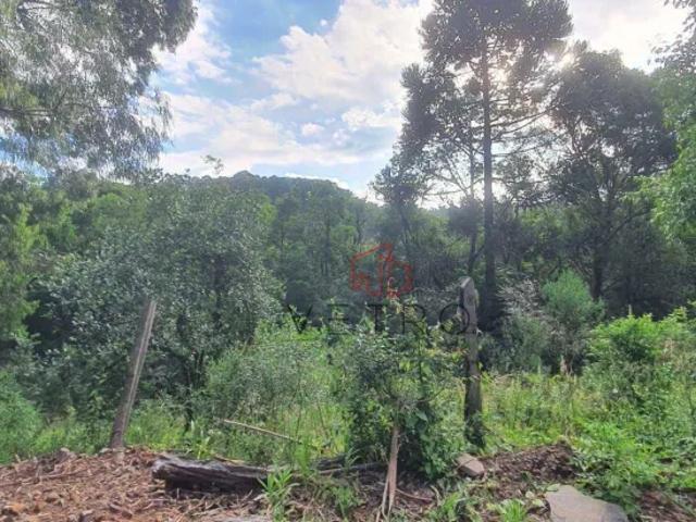 Fazenda venda em Região Geográfica Imediata de Caxias do Sul, Gramado