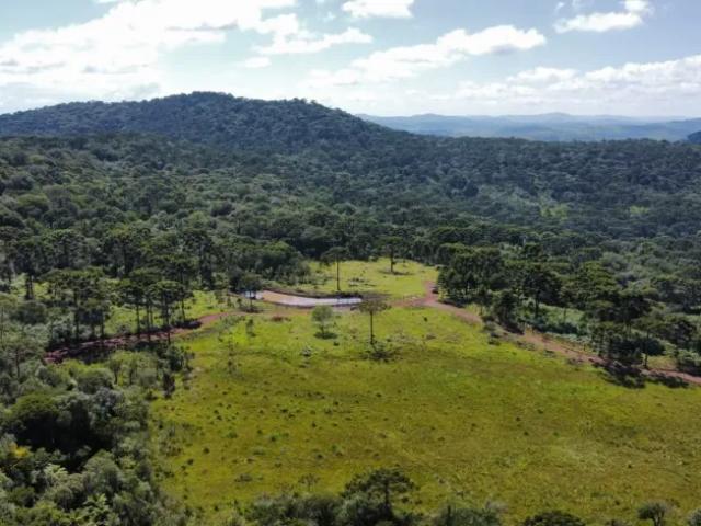 Fazenda venda em Região Geográfica Imediata de Lages, Painel