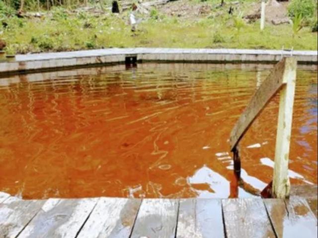 Fazenda venda em Região Geográfica Imediata de Manaus, Presidente Figueiredo