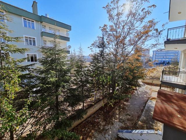 Selçuklu, Konya içerisinde kiralık mülk