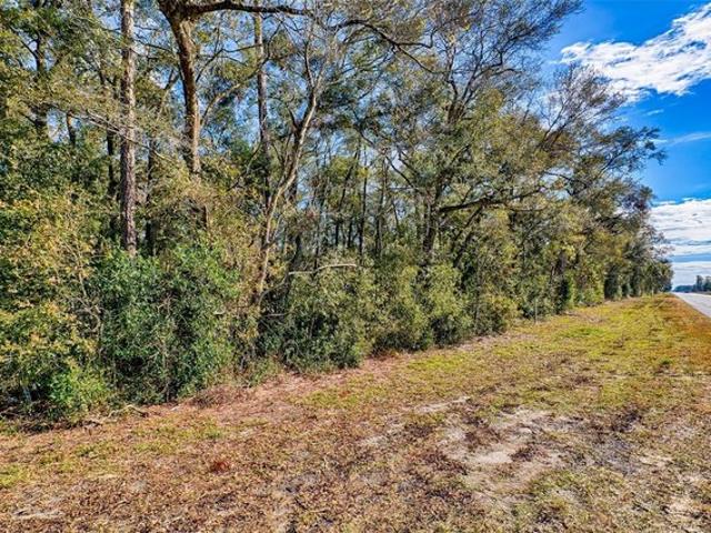 Land for sale in Bell, Florida