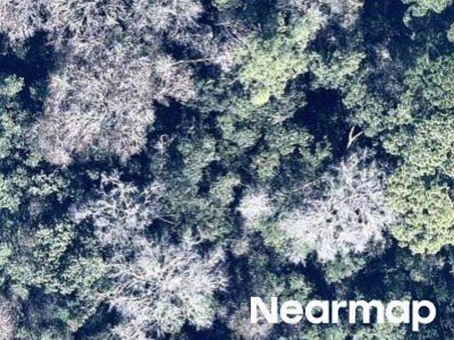 Land for sale in Crescent City, Florida
