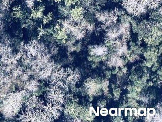 Land for sale in Crescent City, Florida