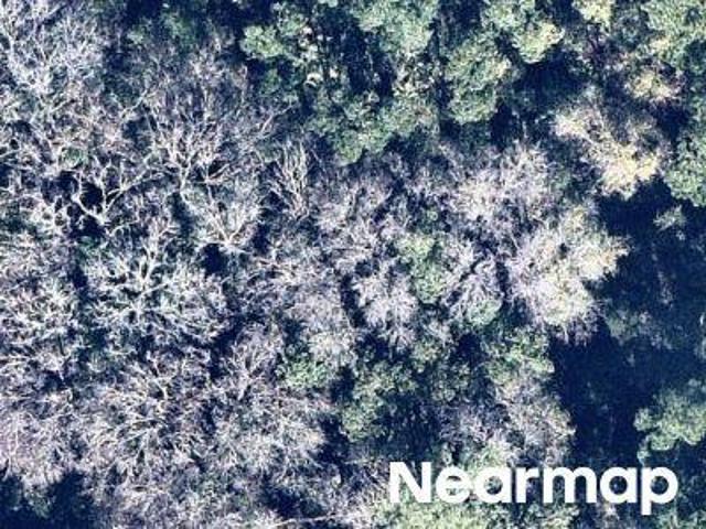 Land for sale in Crescent City, Florida