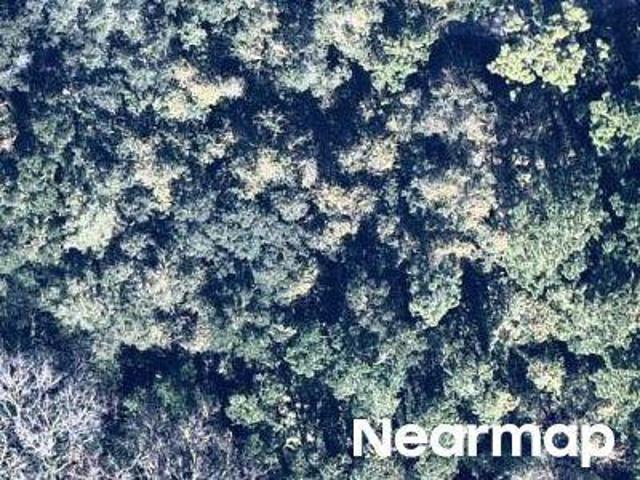 Land for sale in Crescent City, Florida