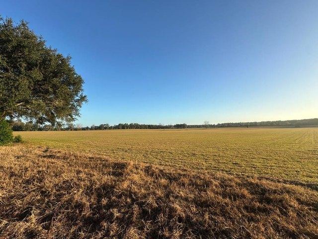 Land for sale in Lake City, Florida