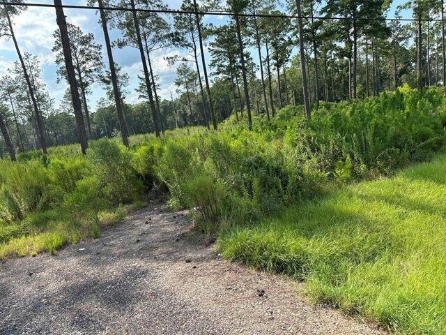 House for sale in Tifton, Georgia