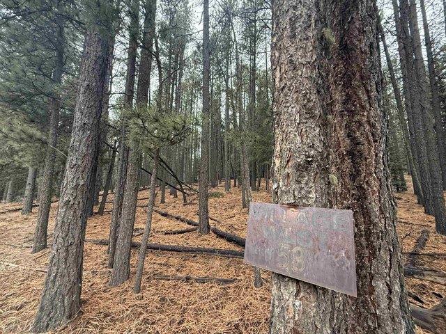 Land for sale in Angel Fire, Colfax County