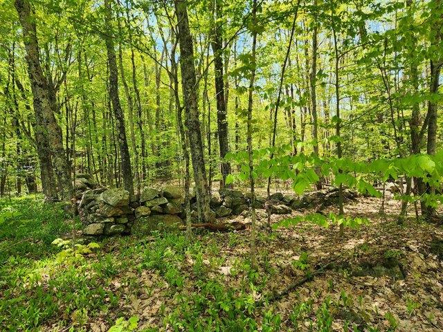 Land for sale in New Hampshire