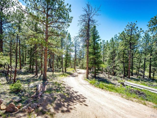Land for sale in Colorado