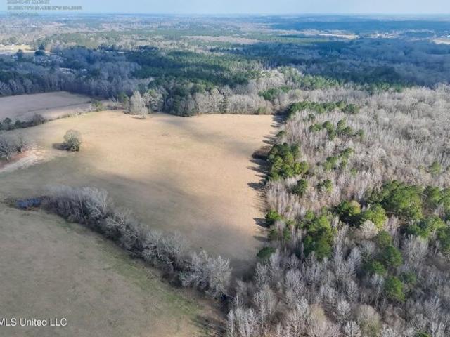 Land for sale in Bogue Chitto, Mississippi