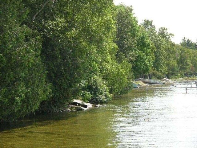 Land for sale in Trout Lake, Michigan