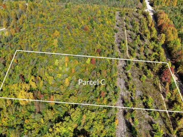Land for sale in Beulah, Michigan