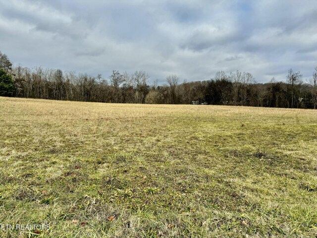 Land for sale in White Pine