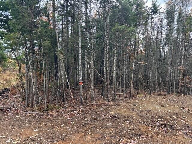 Land for sale in Greenville, Maine