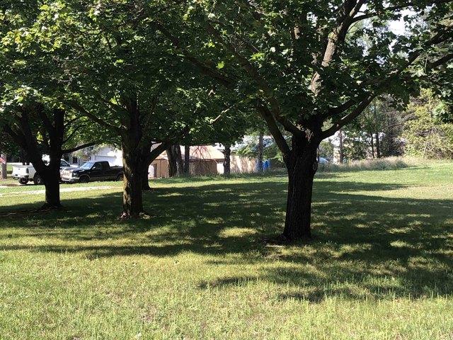 Land for sale in Clare, Michigan