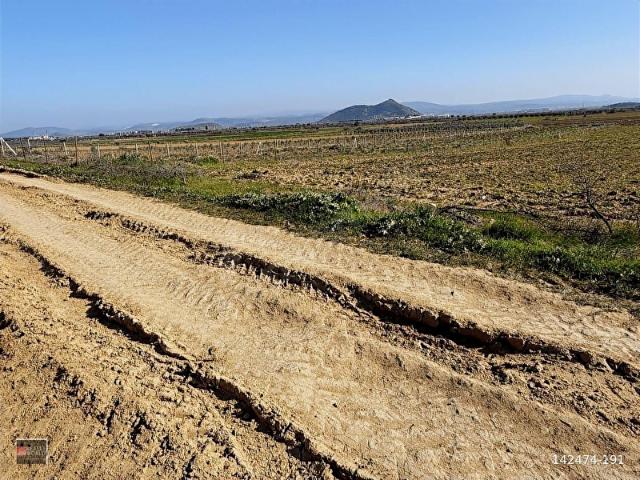 Bergama, İzmir içerisinde satılık Arsa