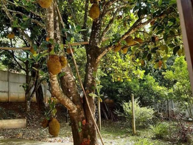 Sítio e chácara venda em Santa Isabel