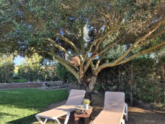 Apartamento en alquiler en Raiguer, Baleares