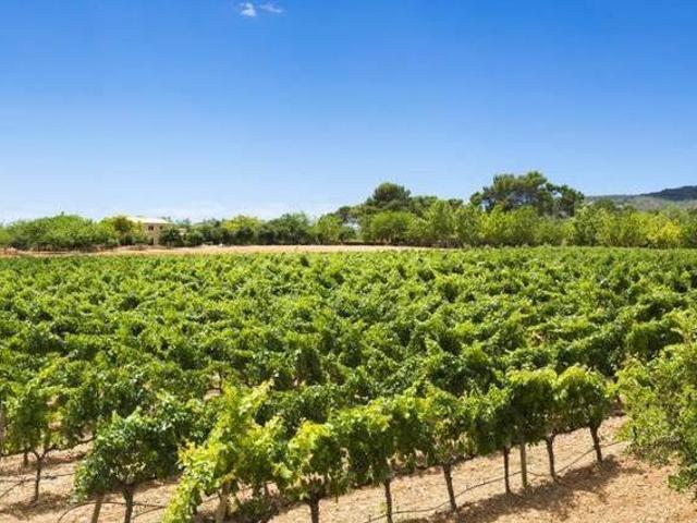 Casa en alquiler en Pla de Mallorca, Baleares