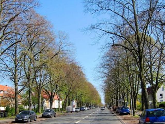 Apartment mieten in Lehndorf-Watenbüttel, Braunschweig