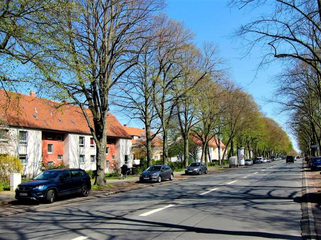 Apartment mieten in Weststadt, Braunschweig