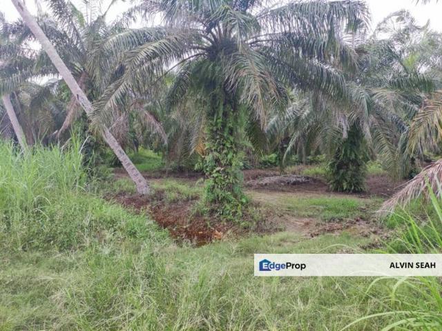 Shop for sale in Sabak Bernam, Selangor