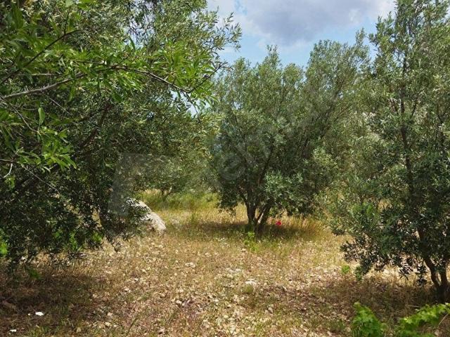 Silifke, Mersin içerisinde satılık mülk