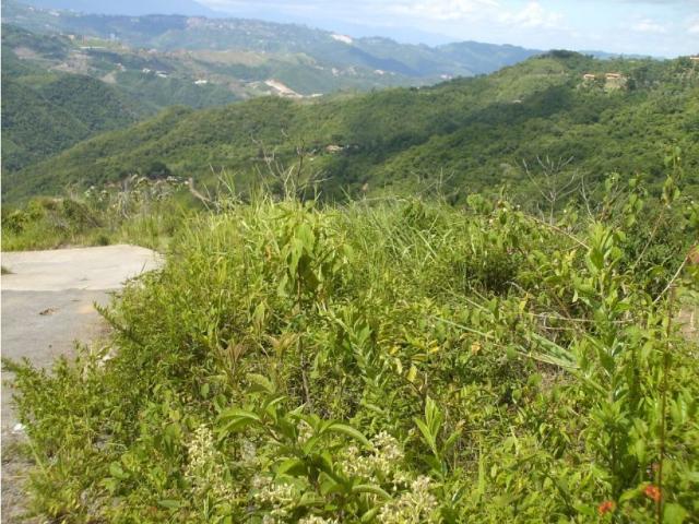 Terreno en venta en Boca De Uchire, Miranda