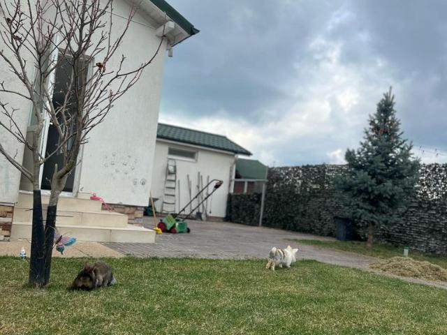 Casă închirieri