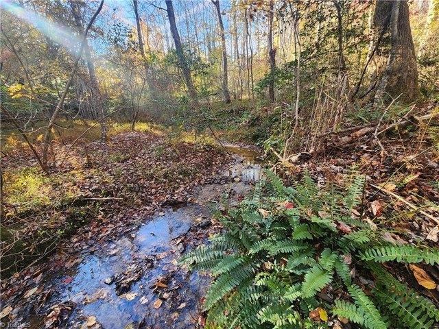 Land for sale in Mount Airy, North Carolina