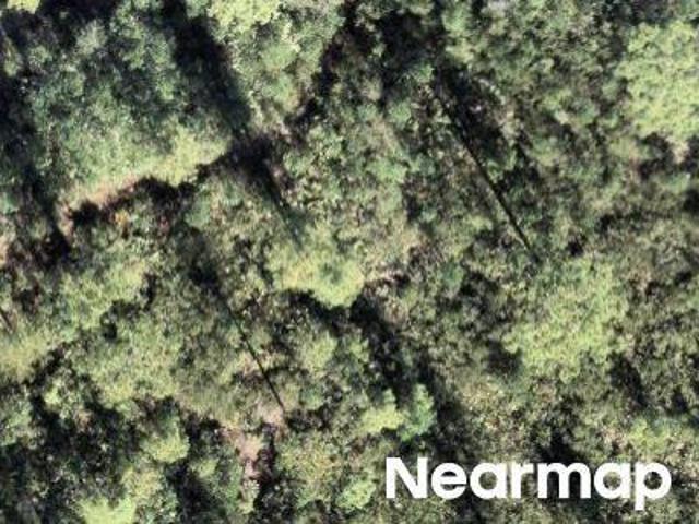 Land for sale in Christmas, Florida