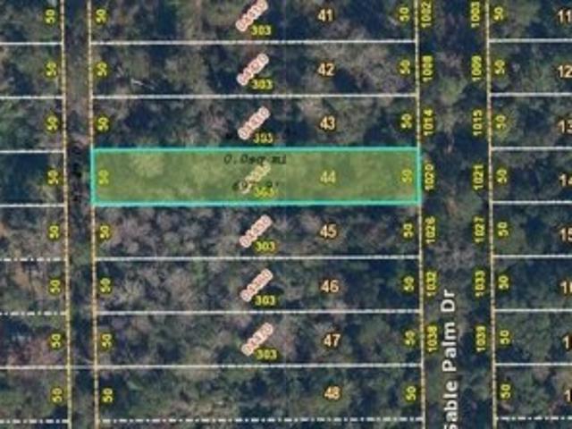 House for sale in Christmas, Florida