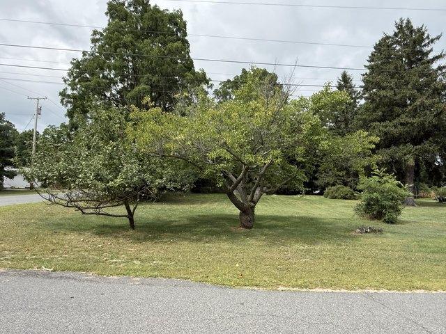 Land for sale in Essex, New York