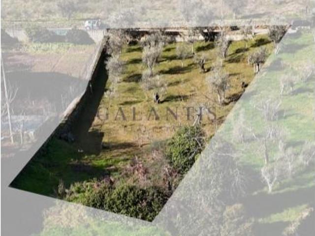 Terreno venda em Sabrosa, Vila Real