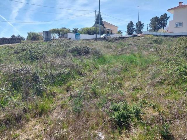 Terreno venda em Sabrosa, Vila Real