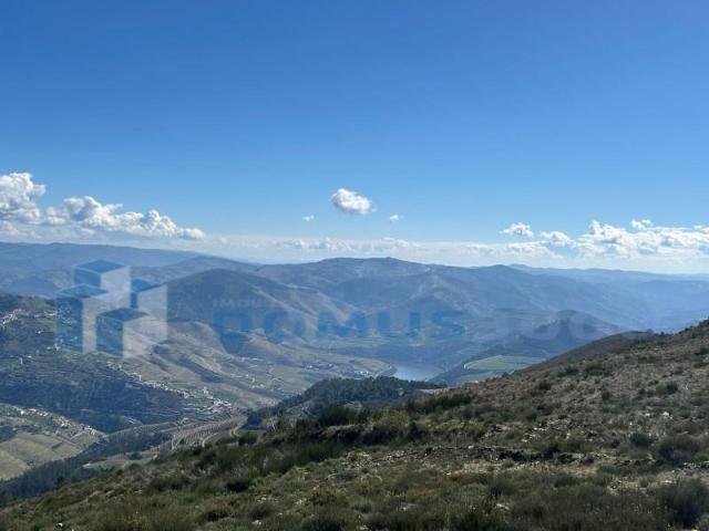 Terreno venda em Sabrosa, Vila Real