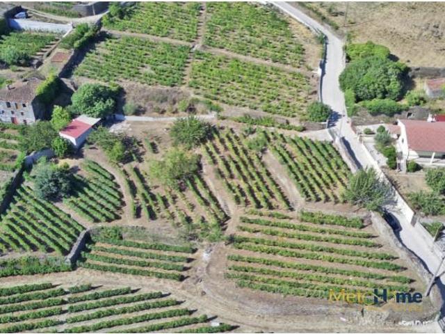 Terreno venda em Sabrosa, Vila Real