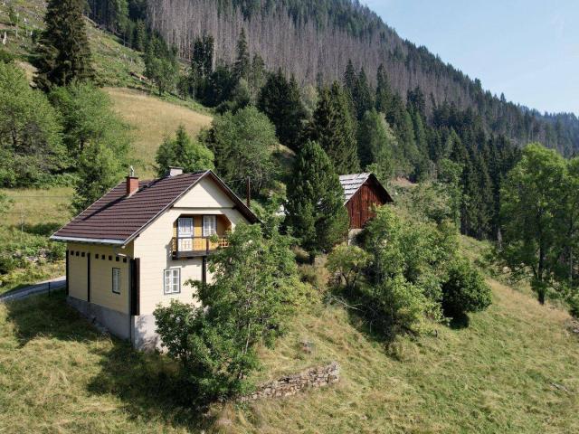 Haus kaufen in Obere Eggeralm, Reißeck