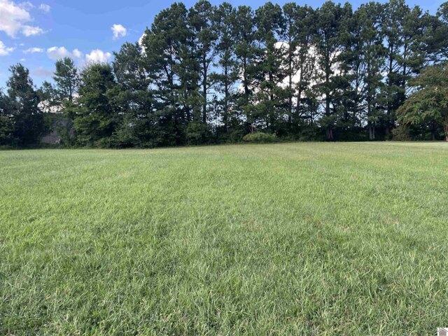 Land for sale in Murray