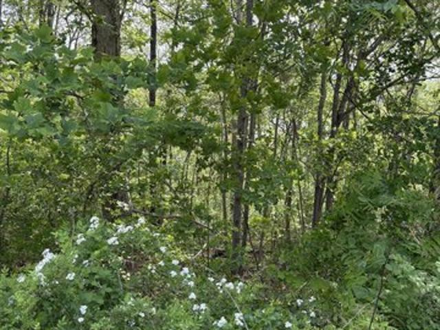 Land for sale in Tennessee