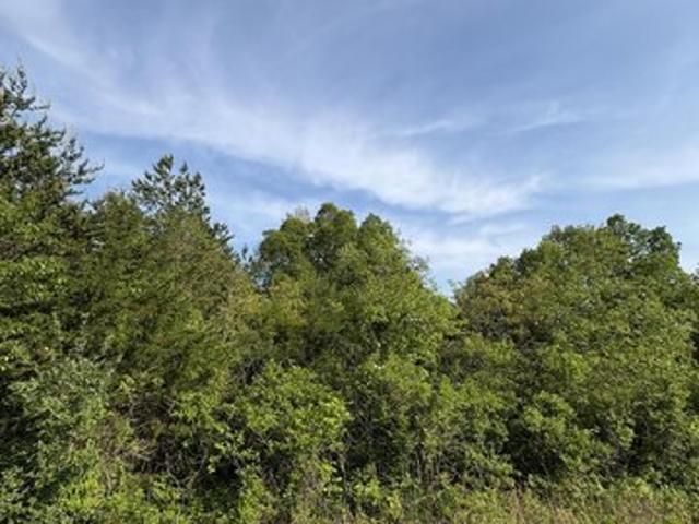 Land for sale in Tennessee