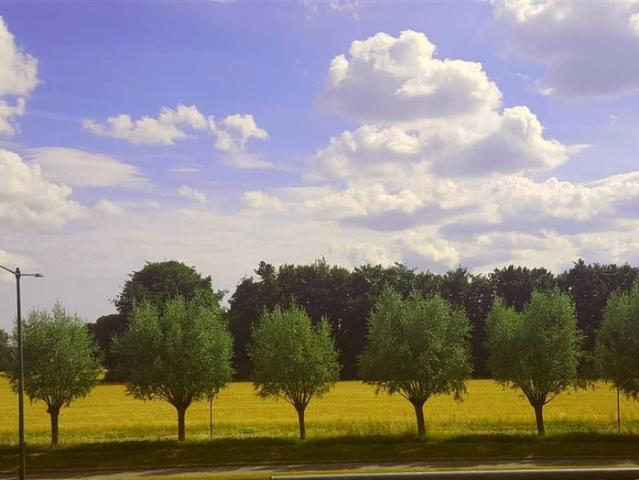 Lägenhet hyra i Bunkeflostrand, Skåne