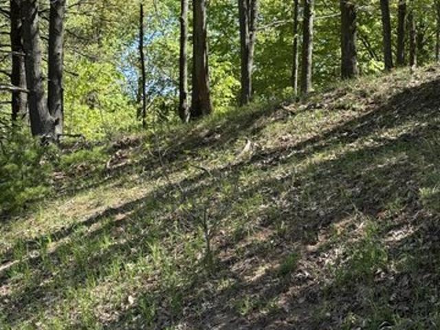 Land for sale in Bear Lake, Michigan