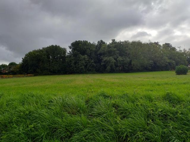 Terrain vente à Bordeaux, Sadirac