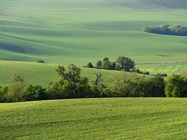 Terrain vente à Brive-la-Gaillarde, Sadroc