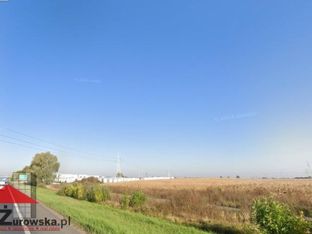 Grunt na sprzedaż w Sady, Wielkopolskie