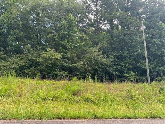 Land for sale in Buckhead