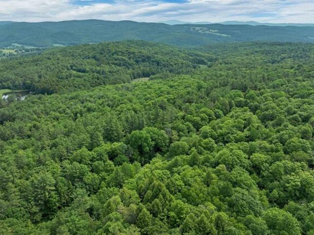 Land for sale in Plantsville, Vermont
